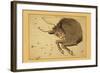 Taurus the Bull-Aspin Jehosaphat-Framed Art Print