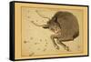 Taurus the Bull-Aspin Jehosaphat-Framed Stretched Canvas