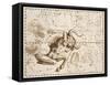 Taurus (Zodiac Sign)-Johannes Hevelius-Framed Stretched Canvas