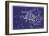 Taurus-Roberta Norton-Framed Art Print