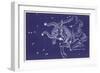 Taurus-Roberta Norton-Framed Art Print
