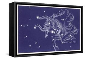 Taurus-Roberta Norton-Framed Stretched Canvas