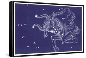 Taurus-Roberta Norton-Framed Stretched Canvas