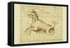 Taurus-Sir John Flamsteed-Framed Stretched Canvas