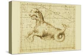 Taurus-Sir John Flamsteed-Stretched Canvas