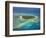 Tavarua Island and Coral Reef, Mamanuca Islands, Fiji-David Wall-Framed Photographic Print