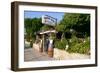 Taverna Lassi, Kefalonia, Greece-Peter Thompson-Framed Photographic Print