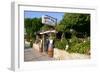 Taverna Lassi, Kefalonia, Greece-Peter Thompson-Framed Photographic Print