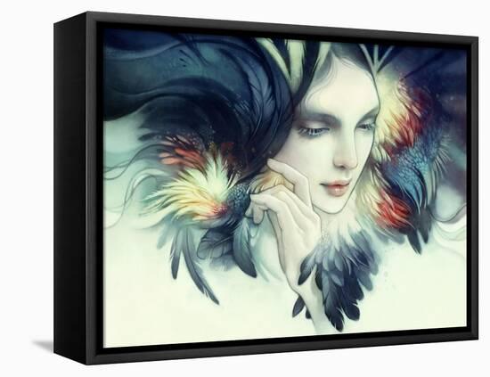 Tavuk-Anna Dittman-Framed Stretched Canvas