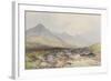 Tavy Cleave, Dartmoor , C.1895-96-Frederick John Widgery-Framed Giclee Print