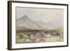 Tavy Cleave, Dartmoor , C.1895-96-Frederick John Widgery-Framed Giclee Print