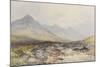 Tavy Cleave, Dartmoor , C.1895-96-Frederick John Widgery-Mounted Giclee Print