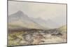 Tavy Cleave, Dartmoor , C.1895-96-Frederick John Widgery-Mounted Giclee Print