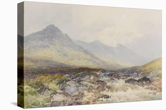 Tavy Cleave, Dartmoor , C.1895-96-Frederick John Widgery-Stretched Canvas