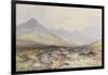 Tavy Cleave, Dartmoor , C.1895-96-Frederick John Widgery-Framed Giclee Print