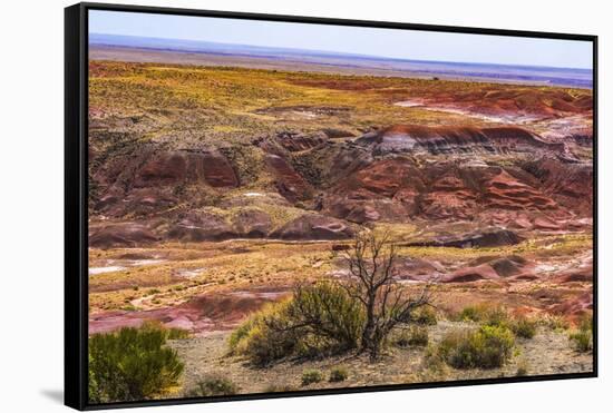 Tawa Point, Painted Desert, Petrified Forest National Park, Arizona-William Perry-Framed Stretched Canvas