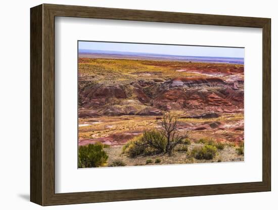 Tawa Point, Painted Desert, Petrified Forest National Park, Arizona-William Perry-Framed Photographic Print