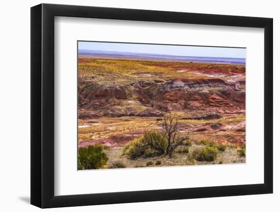 Tawa Point, Painted Desert, Petrified Forest National Park, Arizona-William Perry-Framed Photographic Print