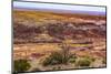 Tawa Point, Painted Desert, Petrified Forest National Park, Arizona-William Perry-Mounted Photographic Print