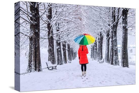 Stretched Canvas Print, , large