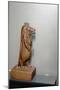 Wood Mount