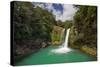 Tawhai Falls, Tongariro National Park, Manawatu-Manganui, North Island, New Zealand-Rainer Mirau-Stretched Canvas
