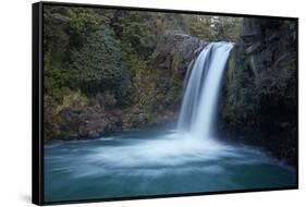 Tawhai Falls, Whakapapanui Stream, Tongariro NP, Central Plateau, N Island, New Zealand-David Wall-Framed Stretched Canvas