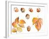 Tawny Autumn Leaves and Acorns-Lanie Loreth-Framed Art Print