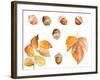 Tawny Autumn Leaves and Acorns-Lanie Loreth-Framed Art Print