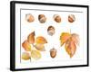 Tawny Autumn Leaves and Acorns-Lanie Loreth-Framed Art Print