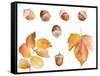 Tawny Autumn Leaves and Acorns-Lanie Loreth-Framed Stretched Canvas