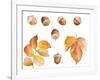 Tawny Autumn Leaves and Acorns-Lanie Loreth-Framed Art Print