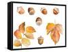 Tawny Autumn Leaves and Acorns-Lanie Loreth-Framed Stretched Canvas