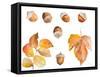 Tawny Autumn Leaves and Acorns-Lanie Loreth-Framed Stretched Canvas