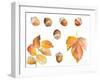 Tawny Autumn Leaves and Acorns-Lanie Loreth-Framed Art Print