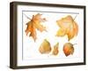 Tawny Autumn Leaves-Lanie Loreth-Framed Art Print