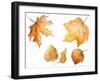 Tawny Autumn Leaves-Lanie Loreth-Framed Art Print