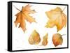 Tawny Autumn Leaves-Lanie Loreth-Framed Stretched Canvas