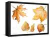 Tawny Autumn Leaves-Lanie Loreth-Framed Stretched Canvas