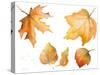 Tawny Autumn Leaves-Lanie Loreth-Stretched Canvas
