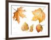 Tawny Autumn Leaves-Lanie Loreth-Framed Art Print