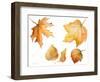 Tawny Autumn Leaves-Lanie Loreth-Framed Art Print