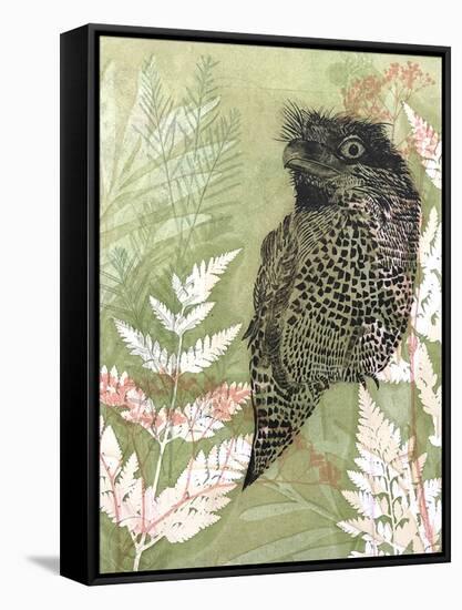 Tawny Frog Mouth-Trudy Rice-Framed Stretched Canvas