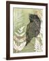 Tawny Frog Mouth-Trudy Rice-Framed Art Print