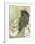 Tawny Frog Mouth-Trudy Rice-Framed Art Print