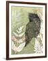 Tawny Frog Mouth-Trudy Rice-Framed Art Print