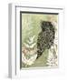 Tawny Frog Mouth-Trudy Rice-Framed Art Print