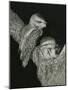 Tawny Frogmouths Pair at their Nest in a Jarrah-null-Mounted Photographic Print