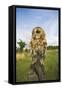 Tawny Owl with Prey on Post-null-Framed Stretched Canvas