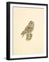 Tawny Owl-C^T^N^ Ackland-Framed Premium Giclee Print